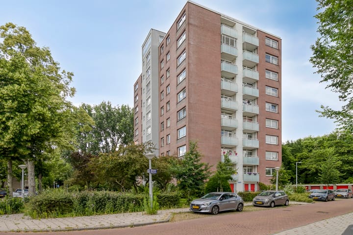 Dierenriem 100 in Amsterdam foto