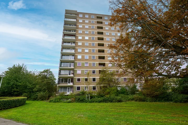 Dignaland 12 in 's-Gravenhage