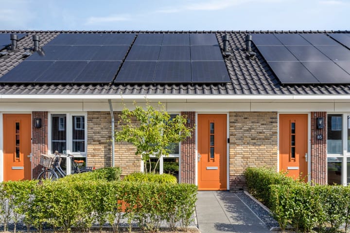 Dille 83 in Asten