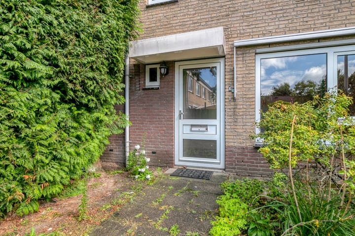 Dilleberg 66 in Roosendaal