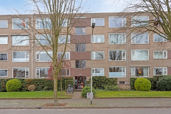 Dingostraat 24 in Nijmegen