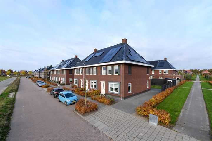 Distelvlinder 33 in Wolvega