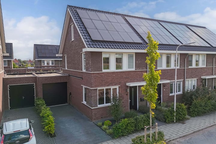 Distelvlinder 41 in Wolvega