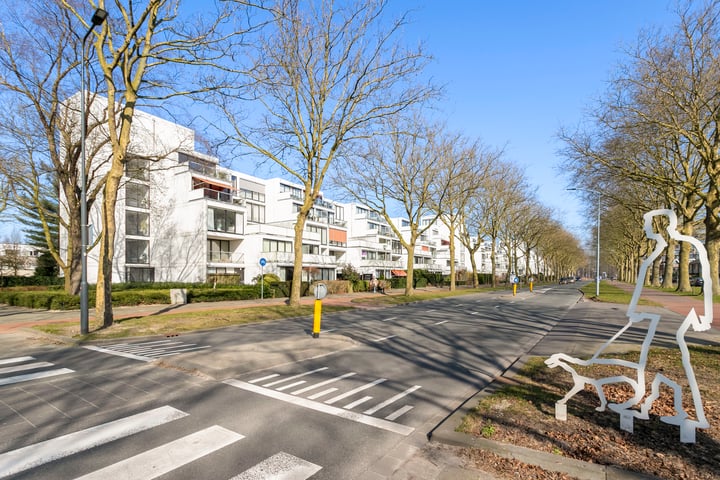 Doenradestraat 40-E27 in Breda photo