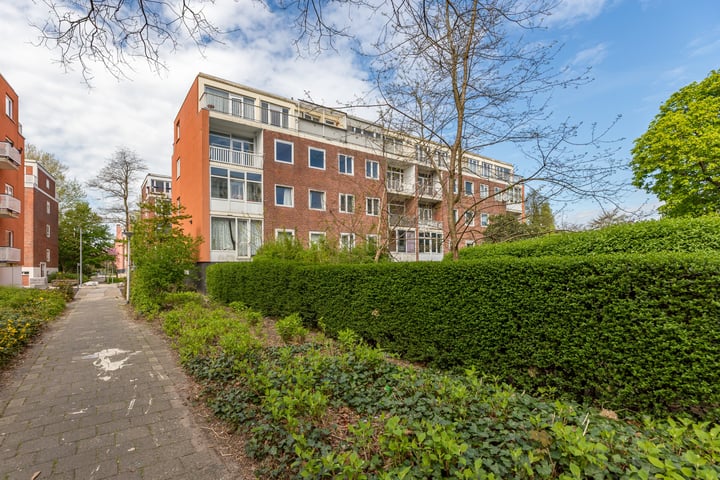 Doggerstraat 8C in Rotterdam