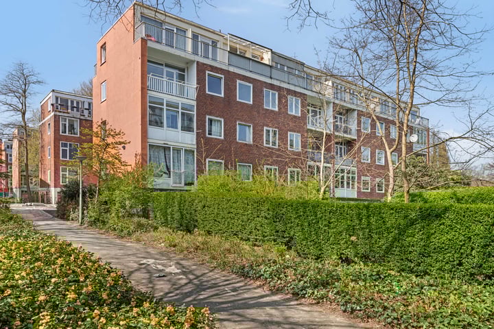 Doggerstraat 8D in Rotterdam