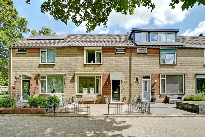 Foto van woning Dokter Schöyerstraat 217, Gorinchem