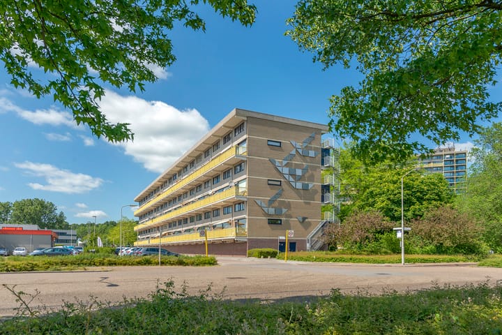 Foto van woning Dokter van Stratenweg 208, Gorinchem