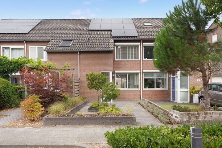 Donauring 225 in Drunen