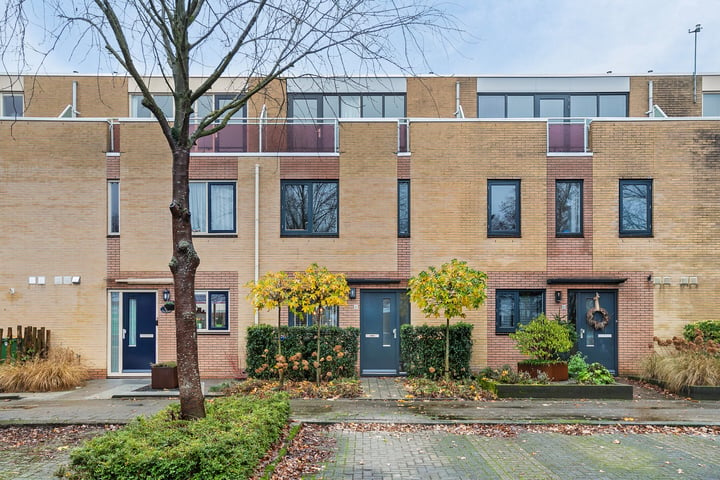 Donsvlinderstraat 61 in Veenendaal