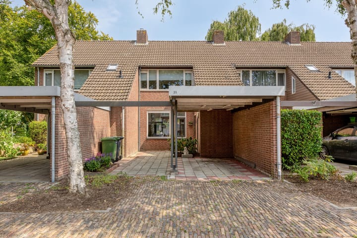 Doornbos 35 in Rijen