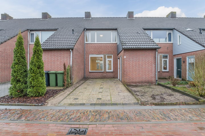 Doornbos 38 in Rijen