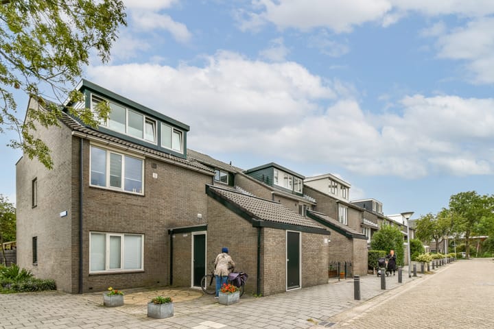Doppenmolen 11 in Koog aan de Zaan