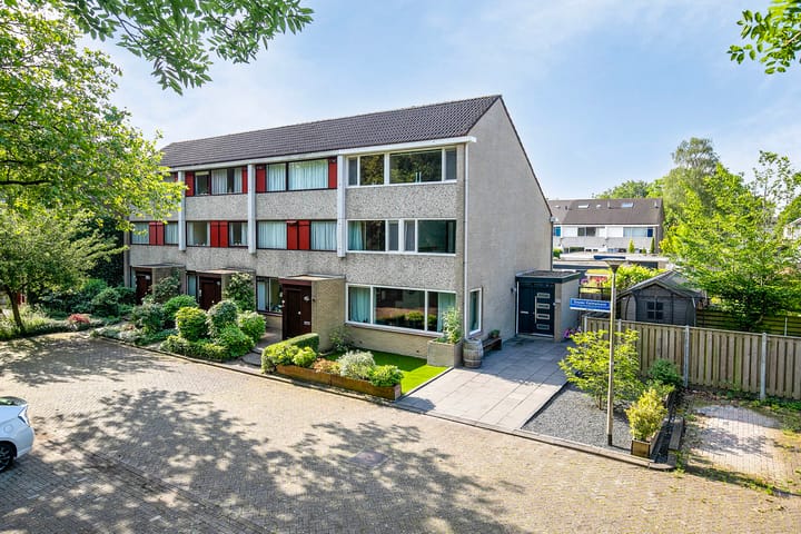 Douwe Kalmaleane 101 in Leeuwarden