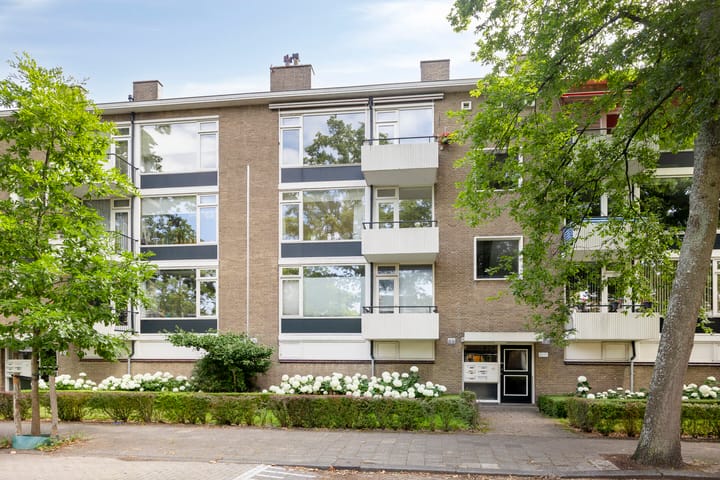 Dr Augustijnlaan 51 in Rijswijk