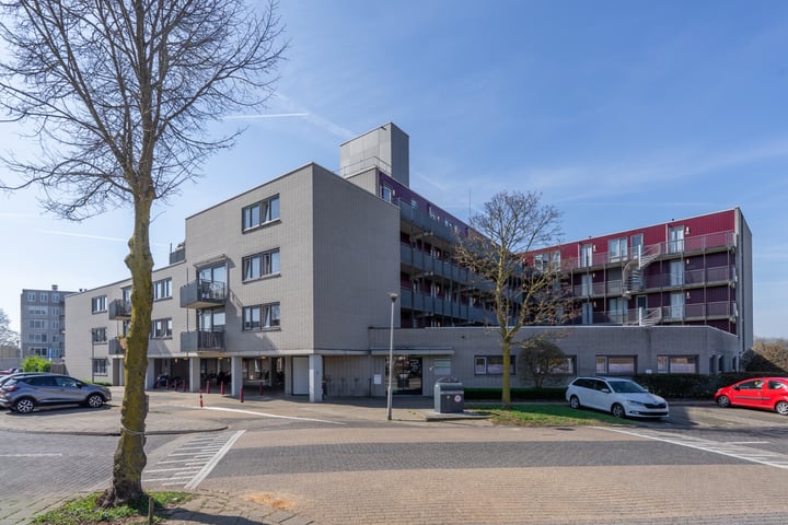 Photo of property Dr. Willem Dreessingel 245, Arnhem