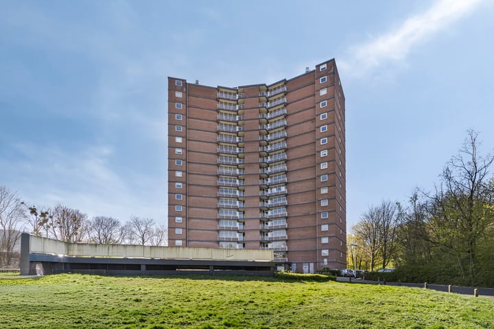 Drieoortsput 88 in Heerlen