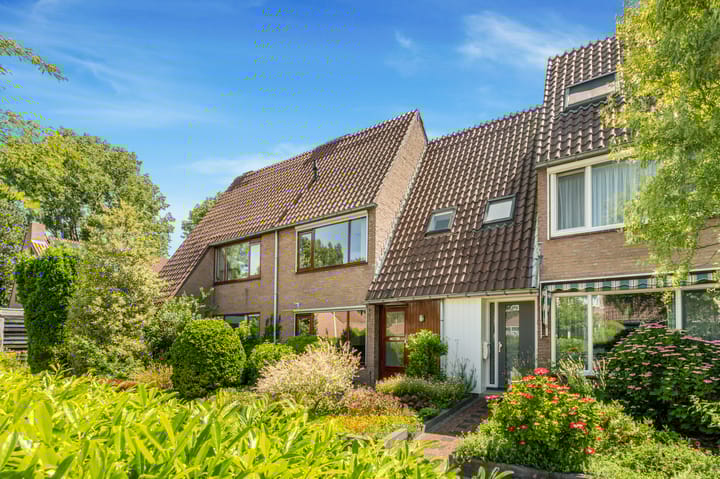 Droogbloem 10 in Castricum