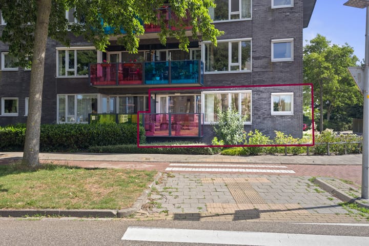 Drooghe Bol 2015 in Julianadorp