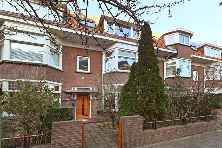 Druivenstraat 31 in 's-Gravenhage