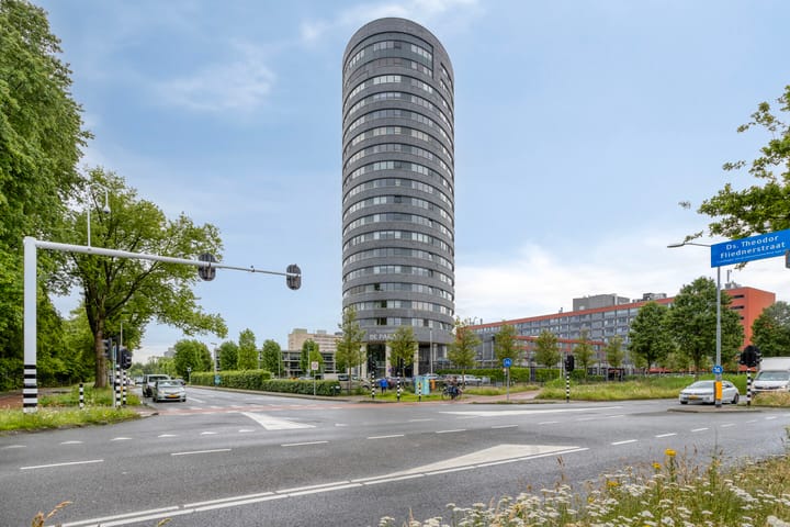 Ds Theodor Fliednerstraat 223 in Eindhoven