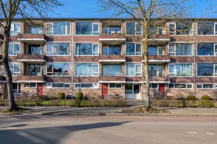 Duindoornstraat 53 in Groningen
