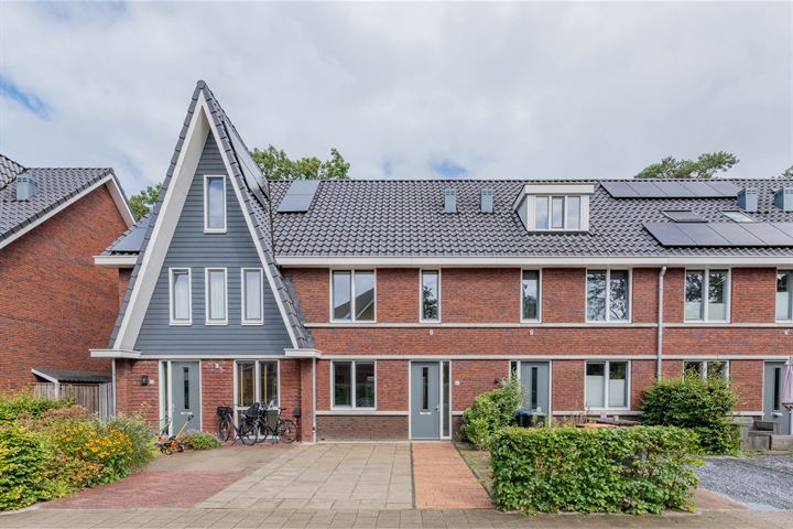 Duivenhorst 40 in Den Dolder