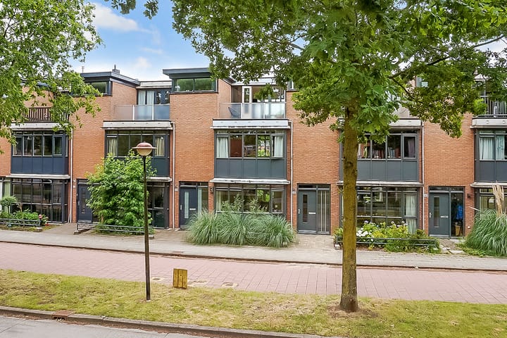 Duizendguldenkruid 39 in Amersfoort