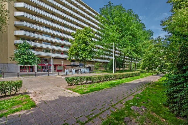 Dunantstraat 913 in Zoetermeer