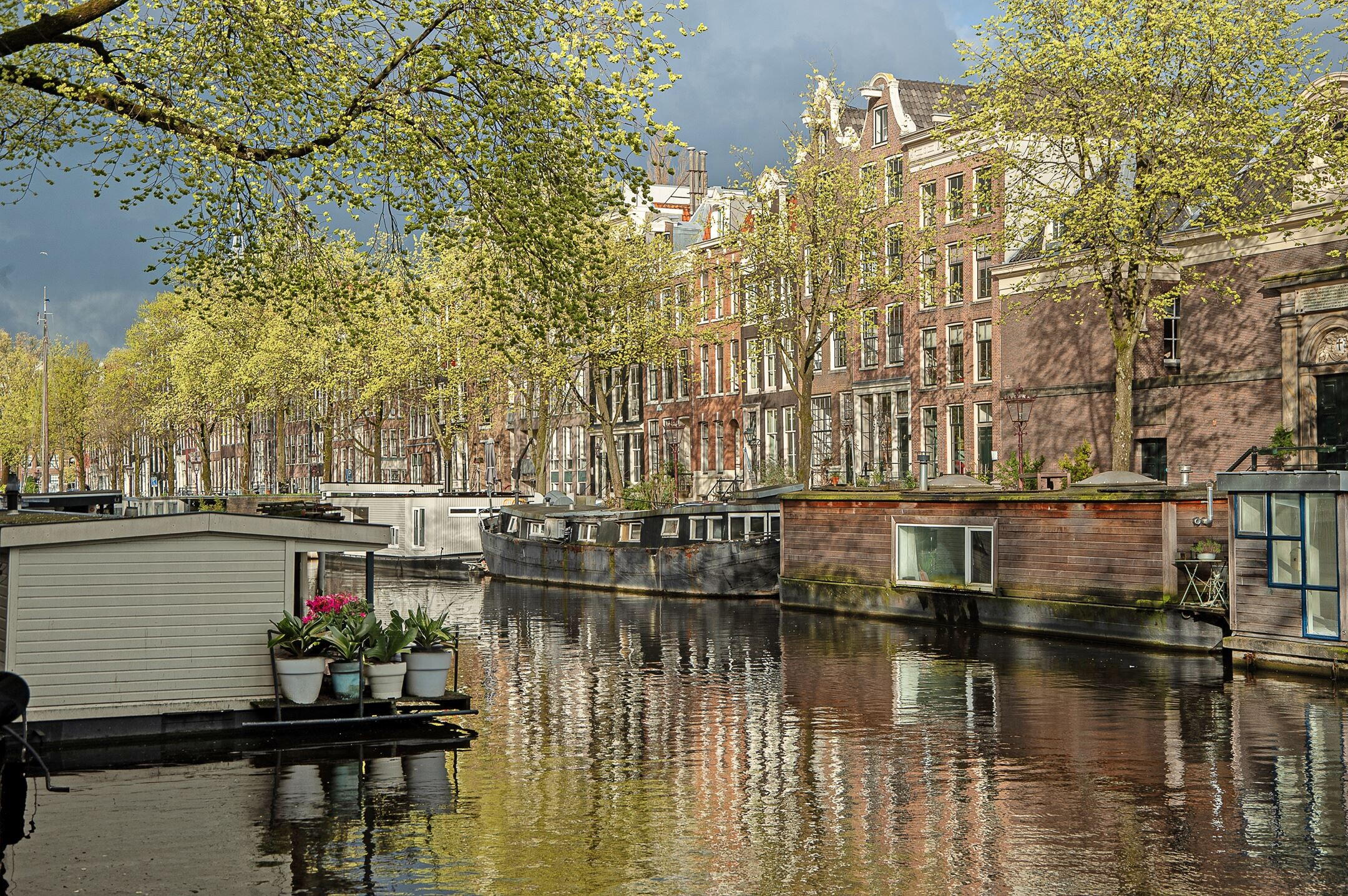 Team foto van Dutch Brokers Makelaardij