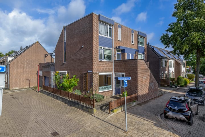 Dwergmeeuw 14 in Nieuwegein foto