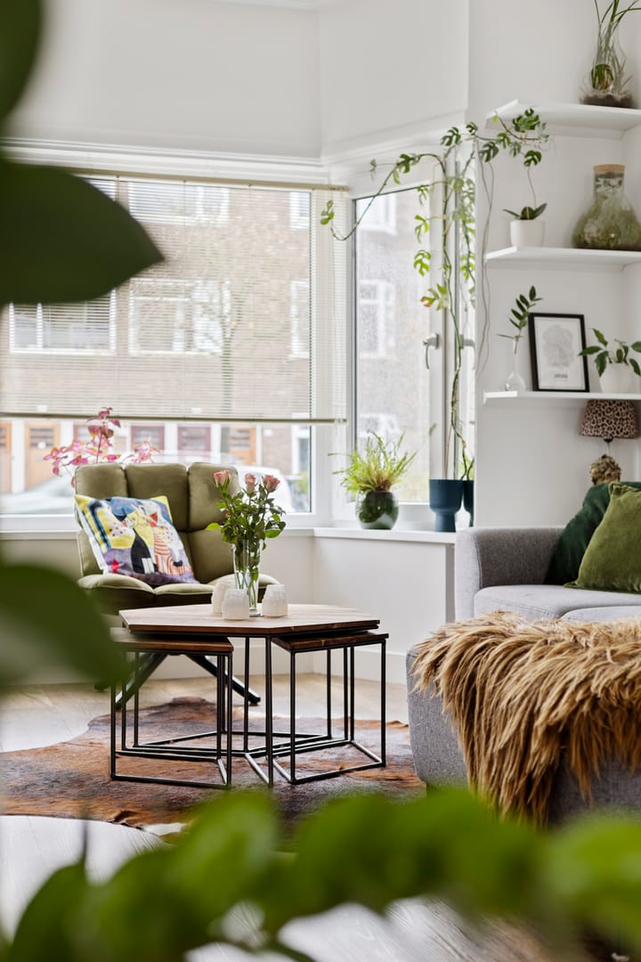 Photo of property E. Thomassen à Thuessinklaan 50, Groningen