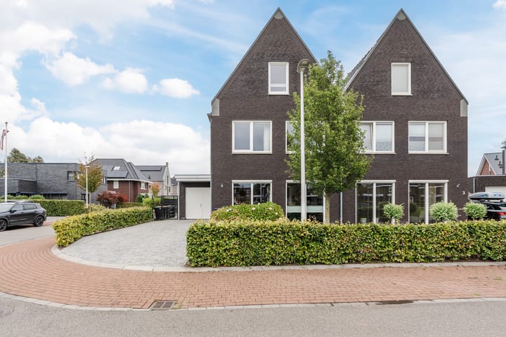 Edelhert 1 in Hoogeveen