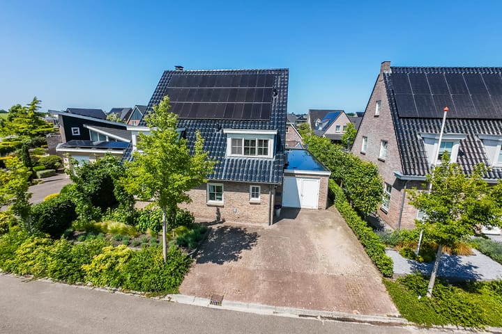 Eekhoorn 14 in Hoogeveen