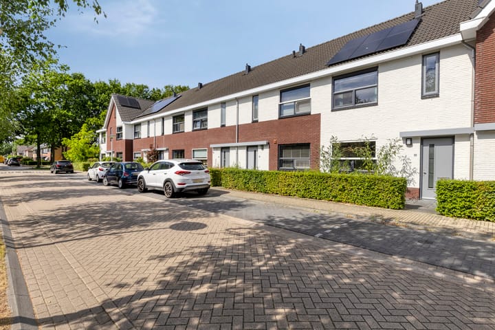 Eikebladvlinder 59 in Enschede photo