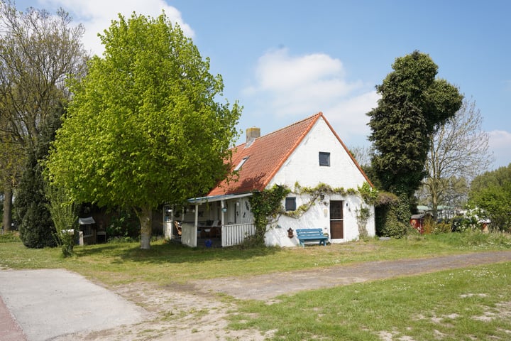 Eiland 7 in Sint Kruis