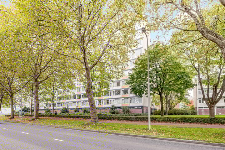 Eisenhowerlaan 300 in Utrecht