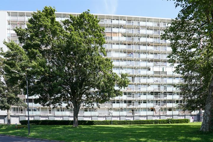 Photo of property Eisenhowerstraat 590, Sittard