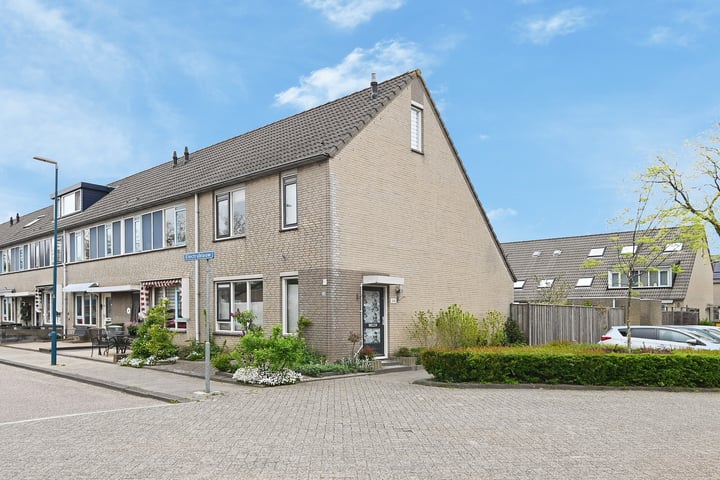 Electrablauw 48 in Zoetermeer Foto