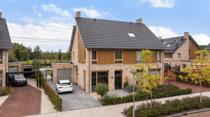 Elf Morgen 4 in Dordrecht