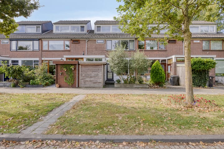 Elimstraat 6 in Rotterdam