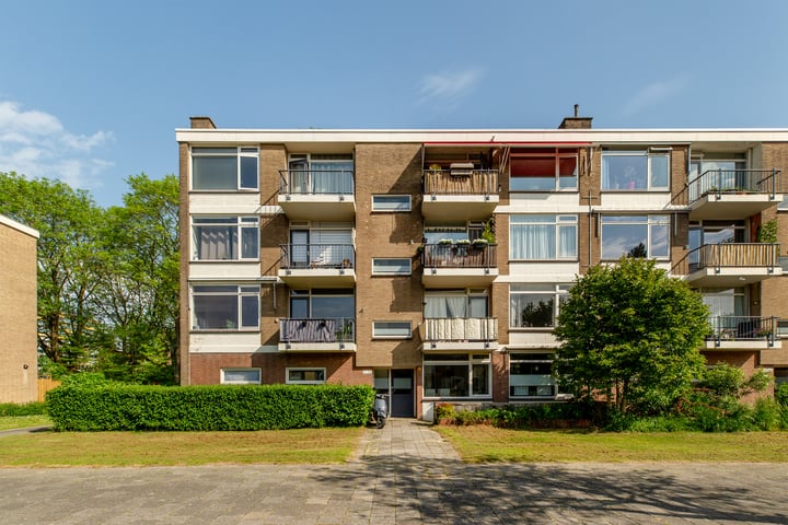 Ellemare 71 in Rotterdam