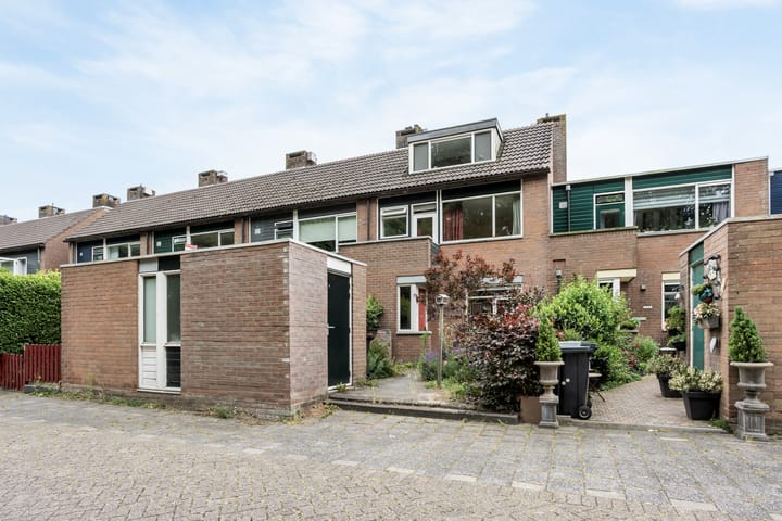 Elsbes 24 in Rotterdam