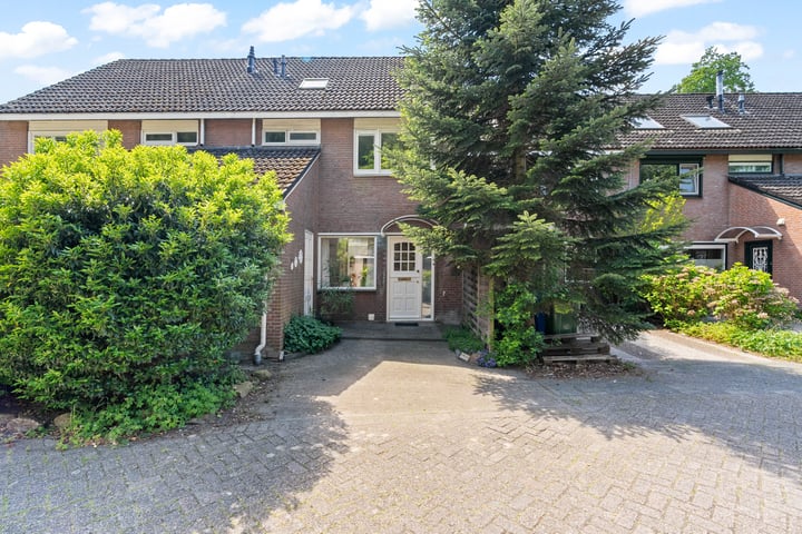 Elsbes 32 in Rotterdam