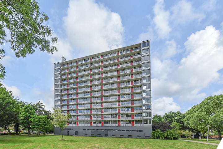 Elviraland 100 in 's-Gravenhage