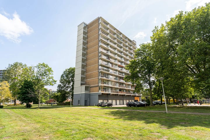 Elviraland 220 in 's-Gravenhage photo