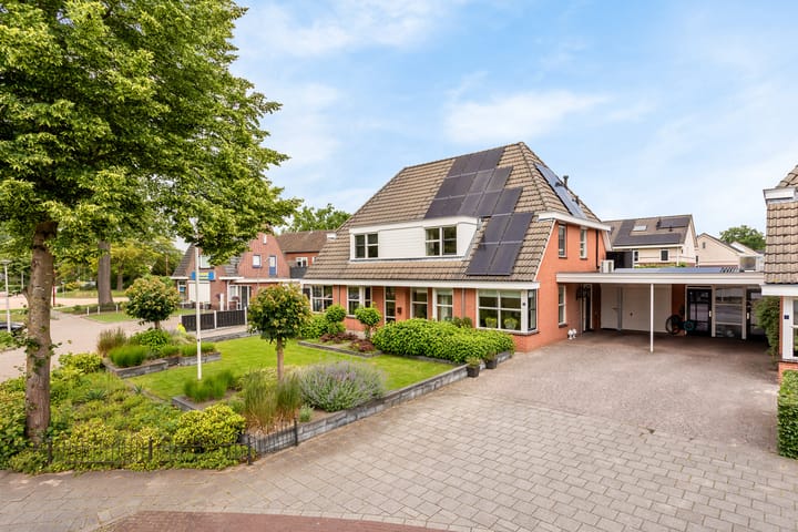 Engelwortel 5 in Nijverdal