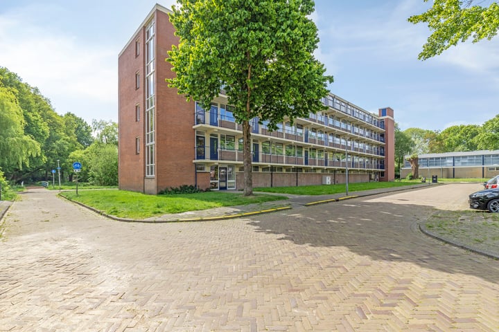 Epe 53 in Assen foto