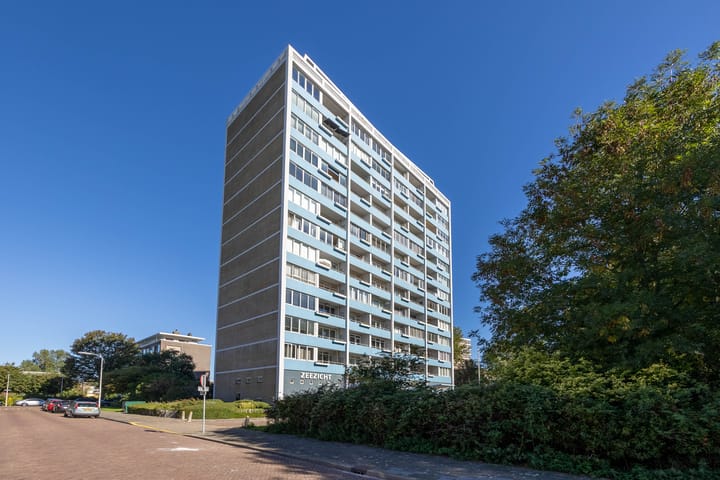 Ericalaan 207 in 's-Gravenhage Foto