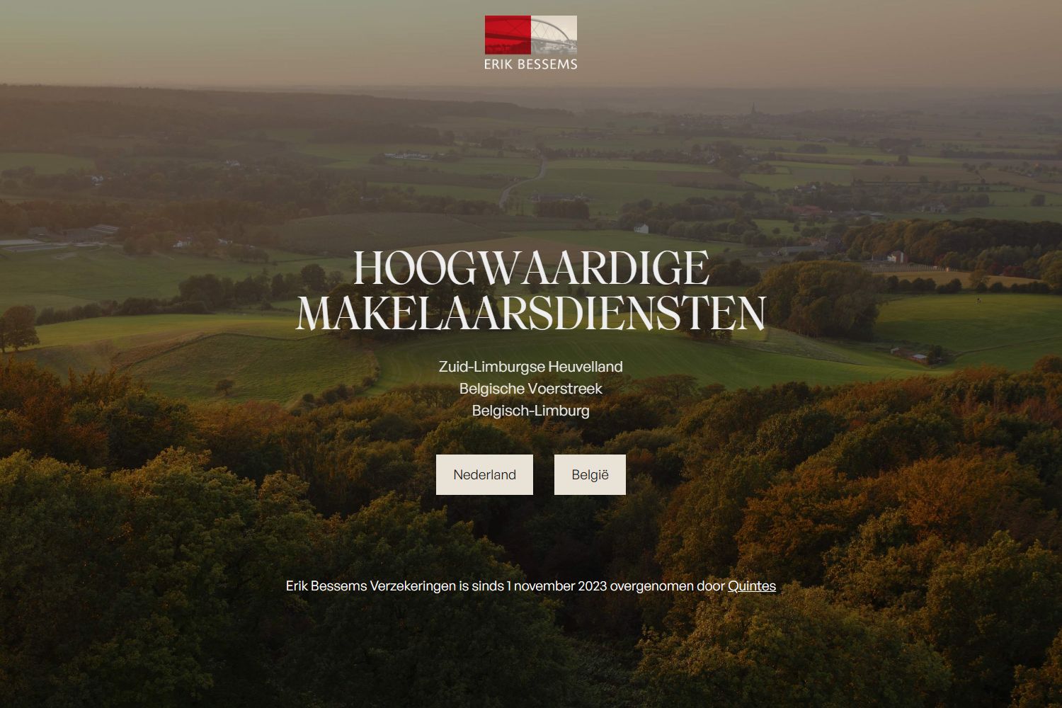 Capture d'écran du site web de www.erikbessems.com